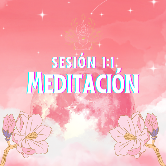 Sesión 1:1 de Meditación